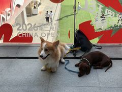 -首创奥特莱斯(北京店)