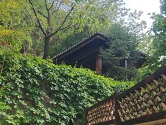 -麦积山温泉