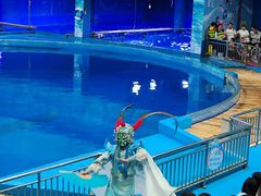 -多彩贵州城极地海洋世界