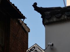 -森果咖啡(人民西路店)