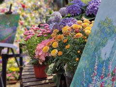 -上海共青森林公园