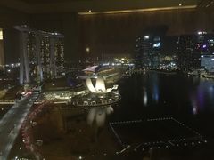 -新加坡丽思卡尔顿美年酒店