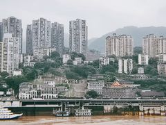 -石灰市毛记烧鸡公(解放碑店)