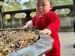 -南山植物园