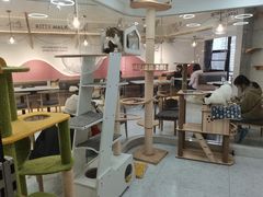 大堂-喵园·猫主题咖啡厅·撸猫·猫咖(国贸店)