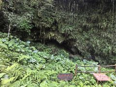 -海口火山口国家地质公园