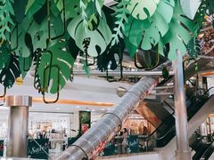 -巴黎春天(浦建店)