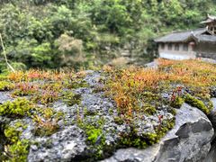 -狮子关旅游区