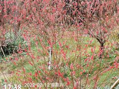 -白水带风景区体育公园