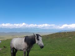 -新疆那拉提国家旅游度假区