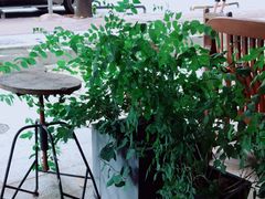 -小涵家蛋糕·咖啡(金山湖花园店)