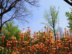 -西山漾湿地公园