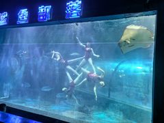 -邯郸海洋世界
