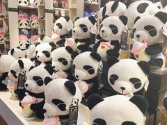 -熊猫屋(宽窄巷子景区店)