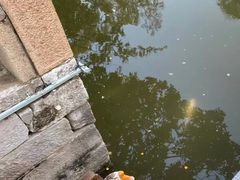 -苏州文庙(姑苏区)