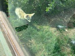 -济南野生动物世界