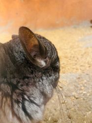 -酷嗒动物文化乐园(cutezoo西溪乐天城店)