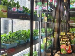 -番食园鲜食火锅(高新店)