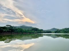 -番禺大夫山森林公园