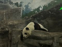 -鄂尔多斯野生动物园