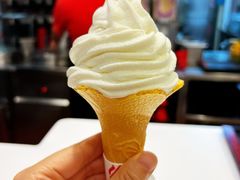 豆浆霜淇淋-永和大王(广渠店)