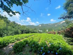 -昆嵛山石门里景区