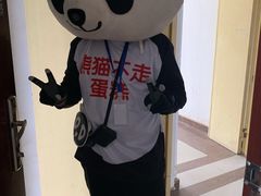 -熊猫不走蛋糕（同城送）(长沙店)