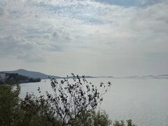 -美味之家·湖景农家乐(太湖东山店)