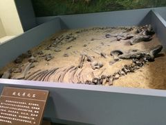 -呼伦贝尔民族博物馆
