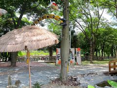 -陶缘一号·四季缘·老字号顺德菜·户外婚礼家宴(西滘店)