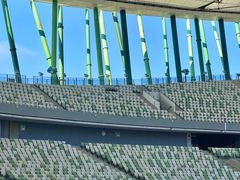 -深圳市宝安体育中心体育场