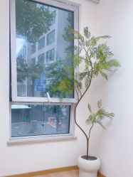 -小梨·OndaPro·专业脱毛连锁机构