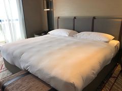 -新加坡瑞士史丹福酒店