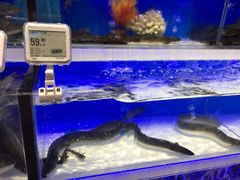 -盒马鲜生(莱蒙都会店)