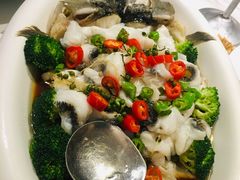 川椒海鲈鱼-富黎华海鲜大酒楼(正大广场店)