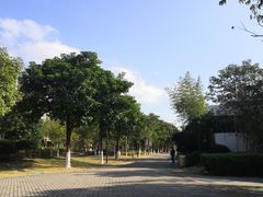 -龙江公园
