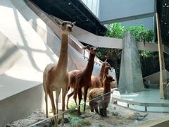 -武汉园博园(武汉自然博物馆)
