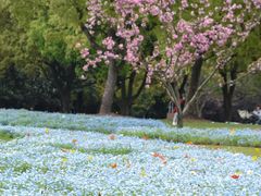 -上海滨江森林公园