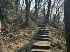 -青龙山国家森林公园