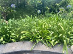 -七彩云南古滇温泉山庄