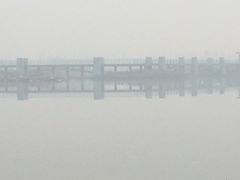 湖心桥-东营·森林乐园