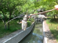 -交大留园(东川路店)