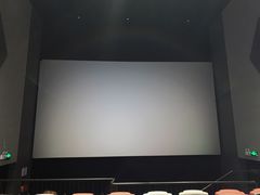 -星河寰宇IMAX影城(星河WORLD·COCO Park店)