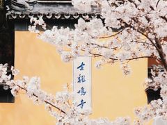 -鸡鸣寺