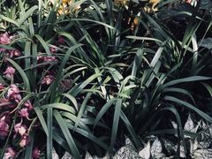 -北京植物园-展览温室