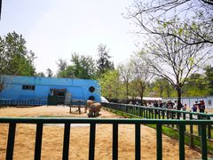 -秦皇岛野生动物园