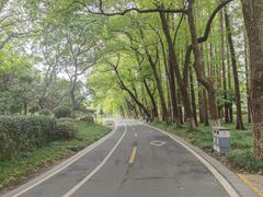 -采石矶景区