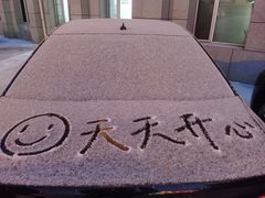 -丰茂烤串(卫星广场店)