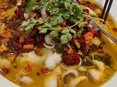 -蜀腾川·火锅鱼.烤鱼(新世界城店)