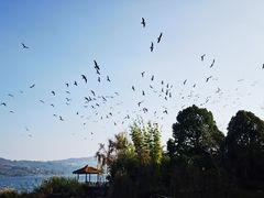 -昆明柏联SPA温泉
